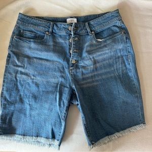 Mint condition shorts curvy